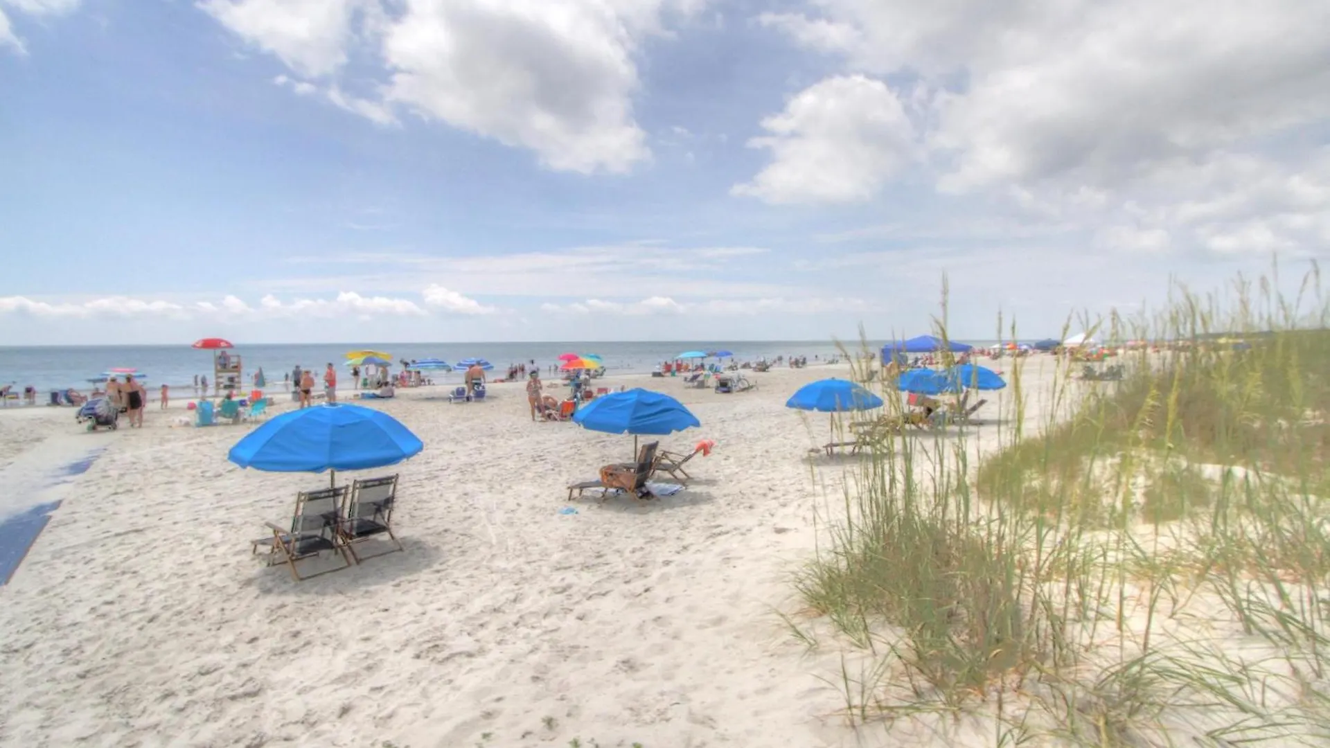 11 Arbor Hilton Head Island