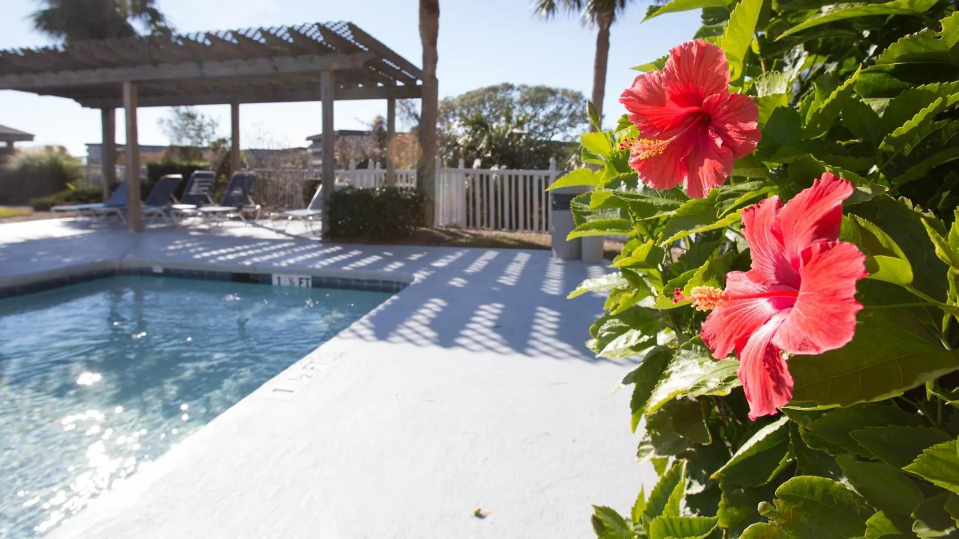 Oceanfront, Complex Pool, Bikes