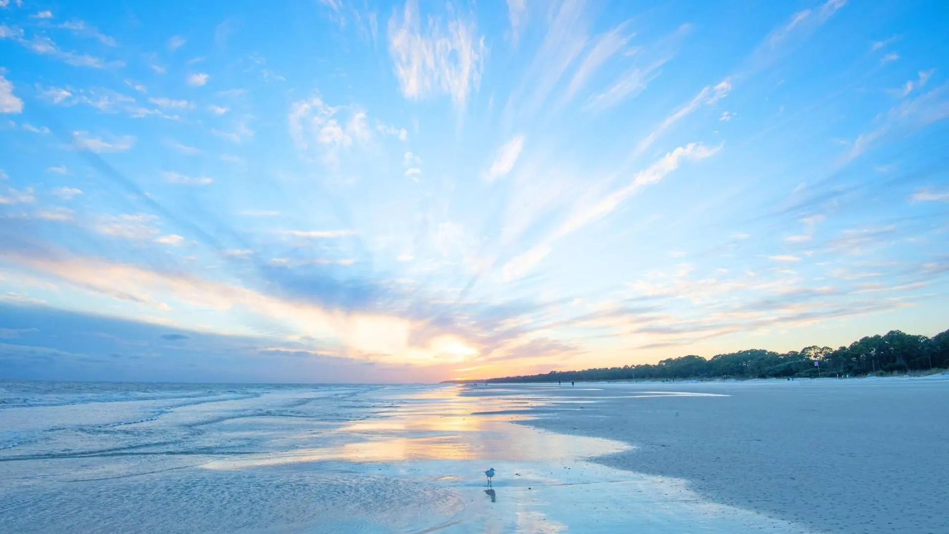 905 Tanglewood Hilton Head Island