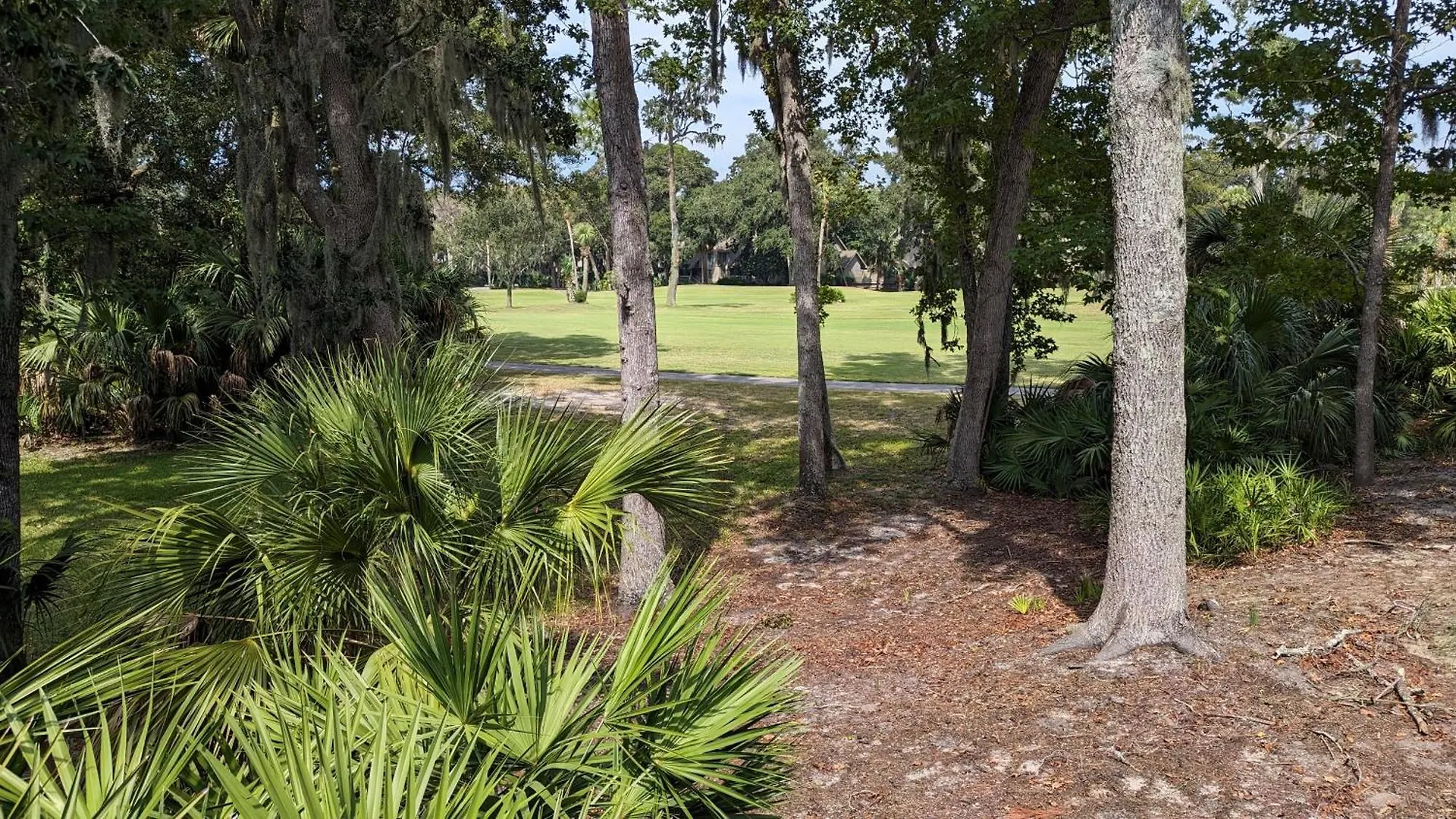 And Birdie * Hilton Head Island