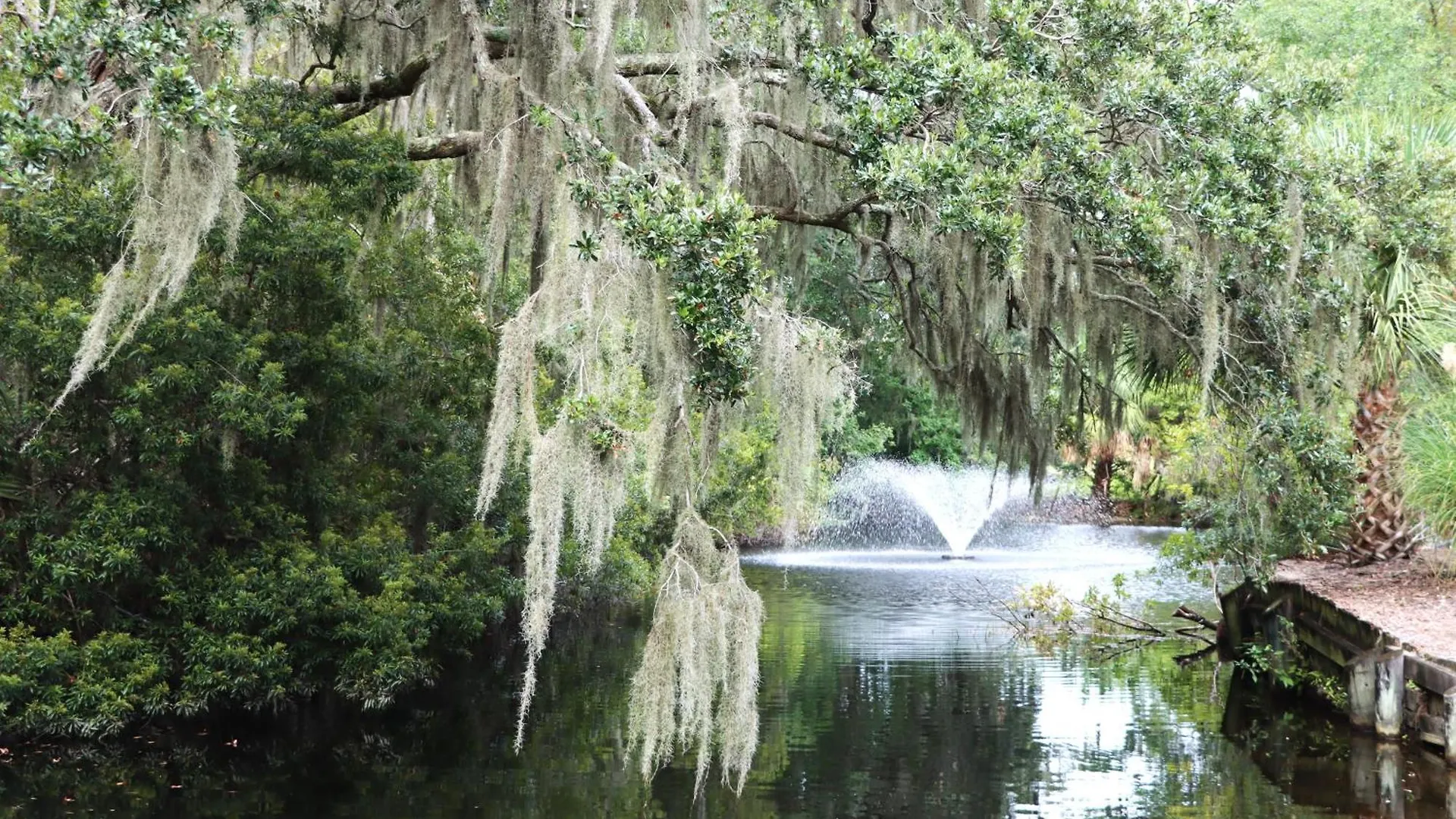 And Birdie * Hilton Head Island