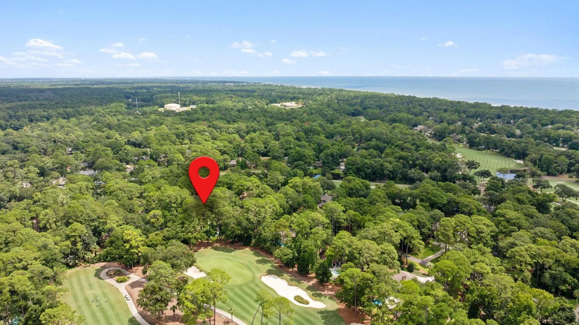 10 Willow Oak *