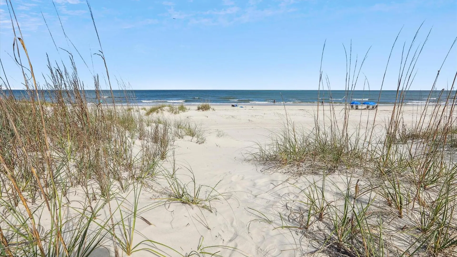 21 Singleton Beach- Oceanfront, Pool, Private Access! Free Activities Included