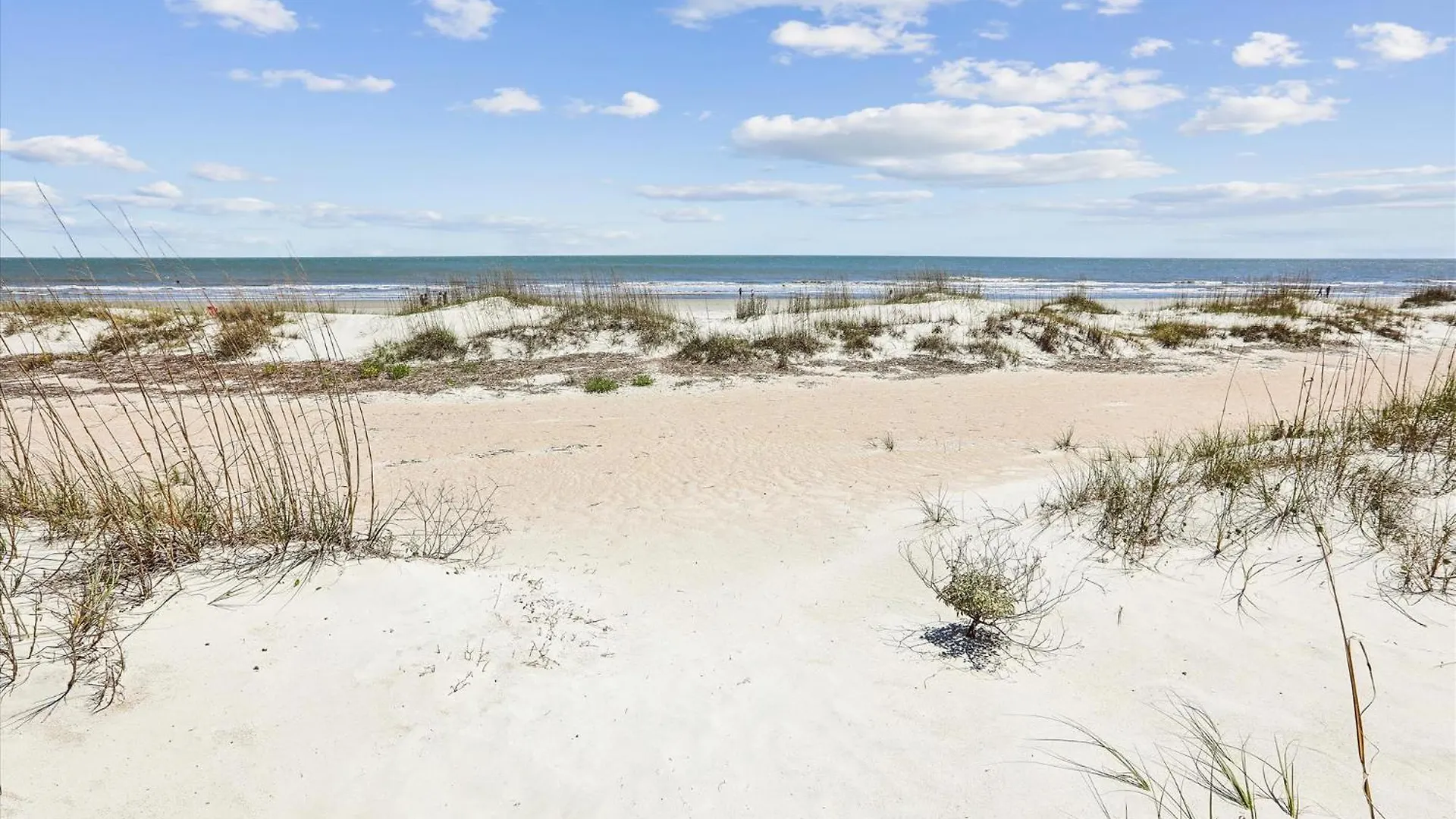 Holiday home 2 Collier Beach- Oceanfront, Dog Friendly , Private Pool, Free Activities