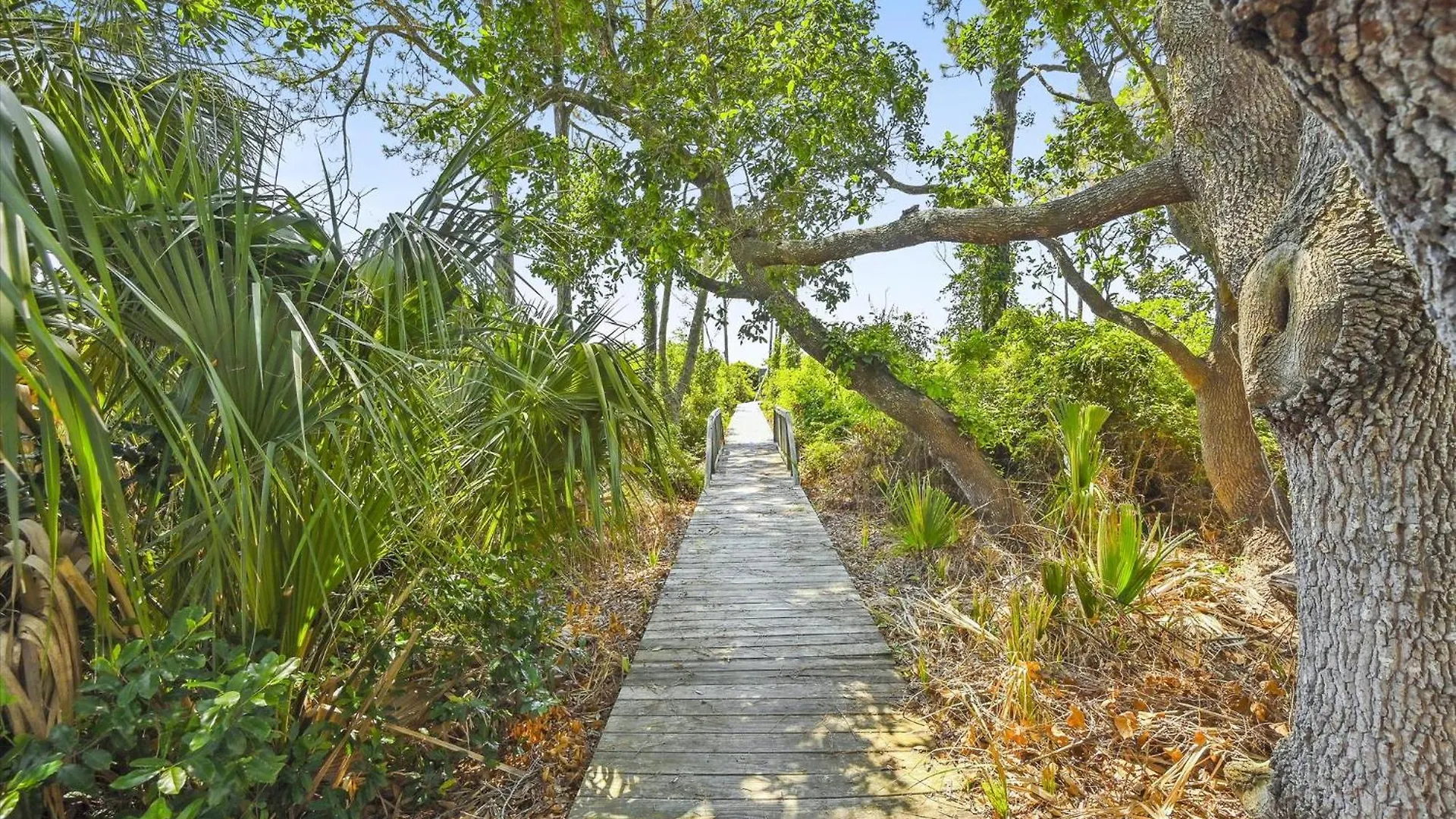 18 Dollar Road- Oceanfront, Large Private Pool, Hot Tub Free Activities Included *