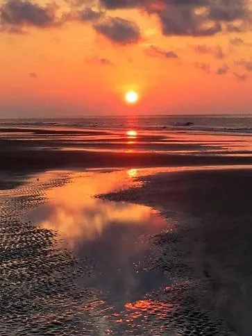 Coastal, Pet Friendly, Bikes * Hilton Head Island