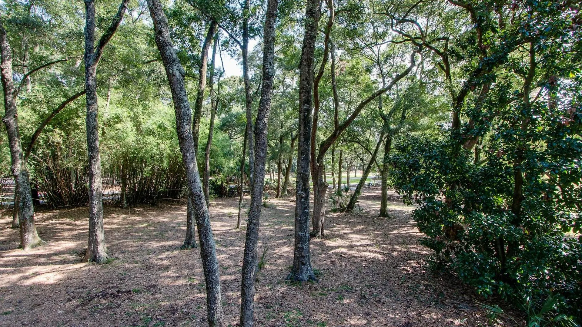 Bike To Beach, Pet Friendly, Loft *