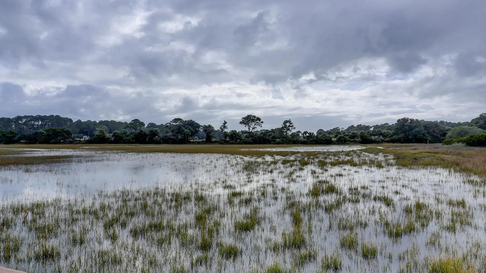 Hilton Head 2301 *