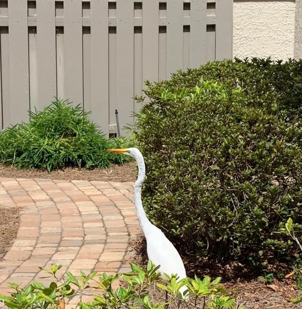 Pet Friendly Folly Field Stones Throw 3 Bed 2 & One Half Bath Holiday home Hilton Head Island