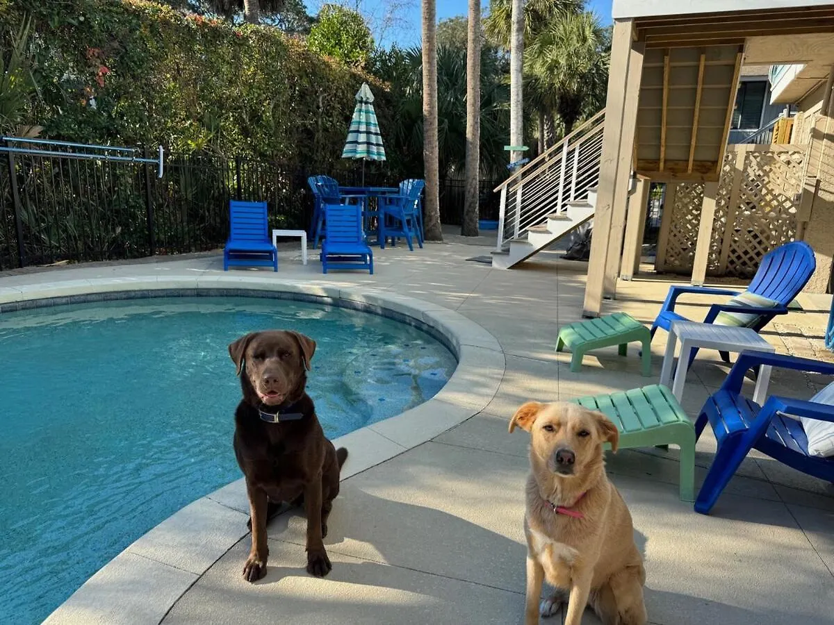 2nd Row 5 Bed 3 And One Half Bath Pet Friendly Ocean View House Holiday home