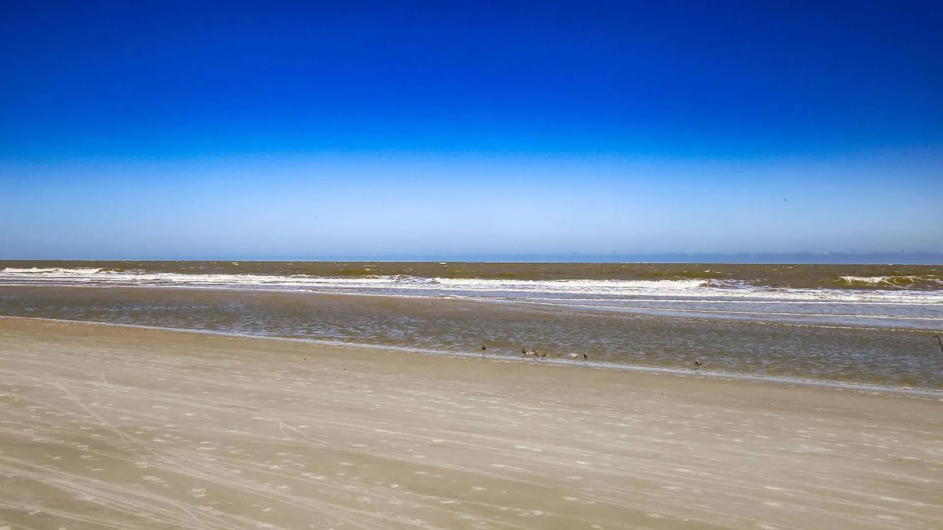 Rest A Shored * Hilton Head Island
