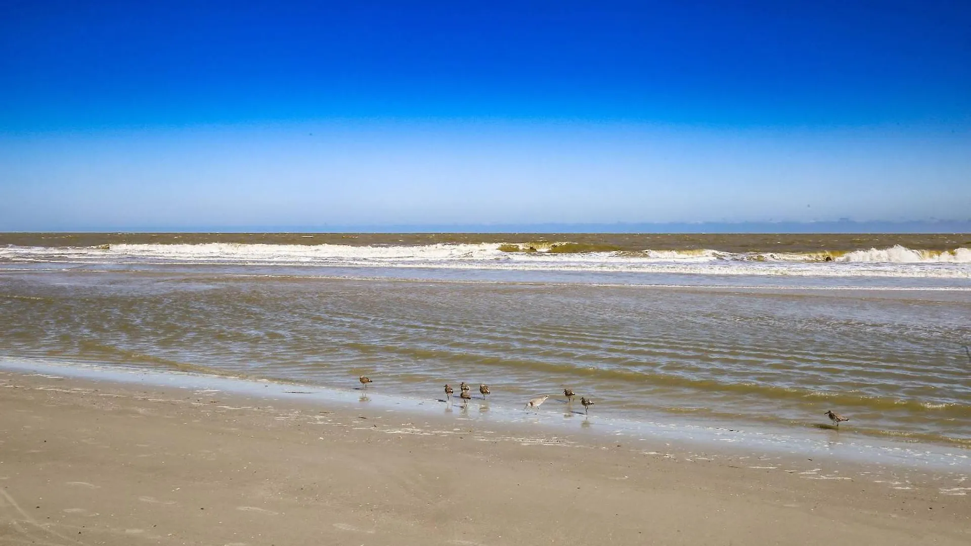 Ocean Breeze*