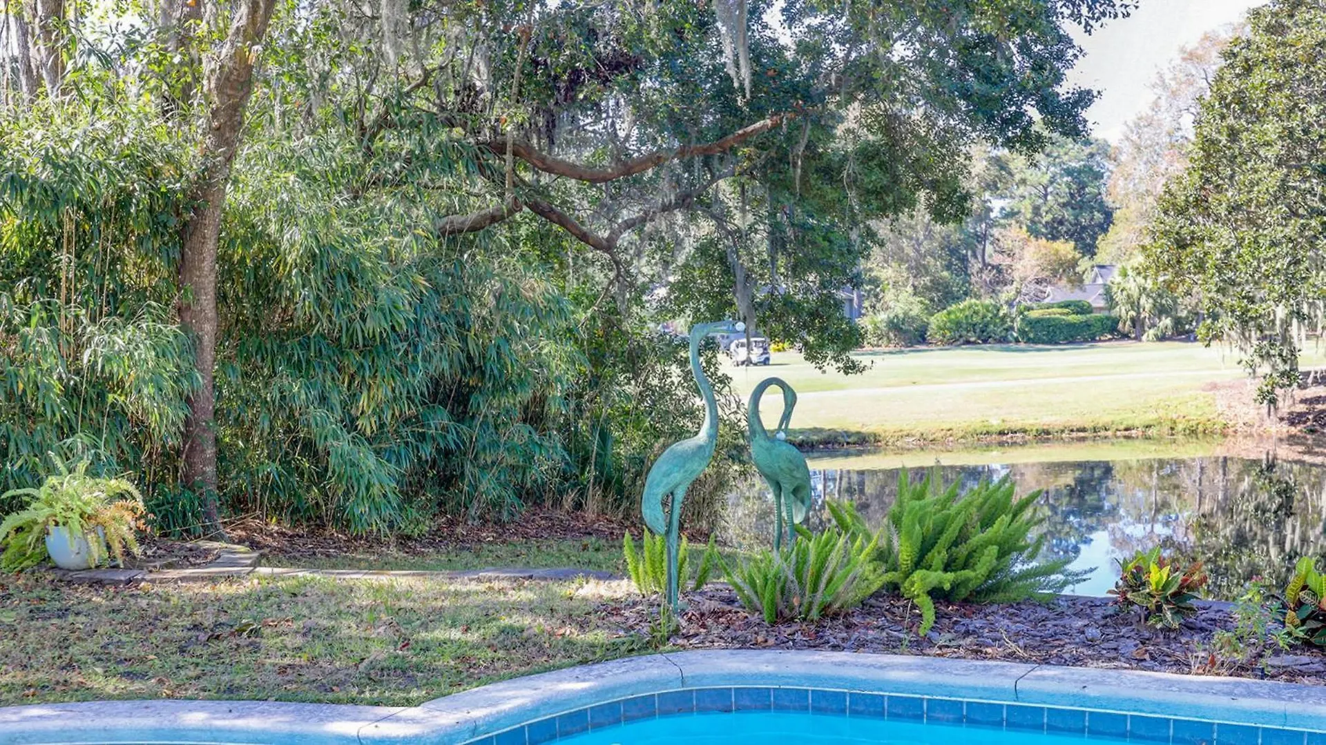 24 Red Maple * Hilton Head Island
