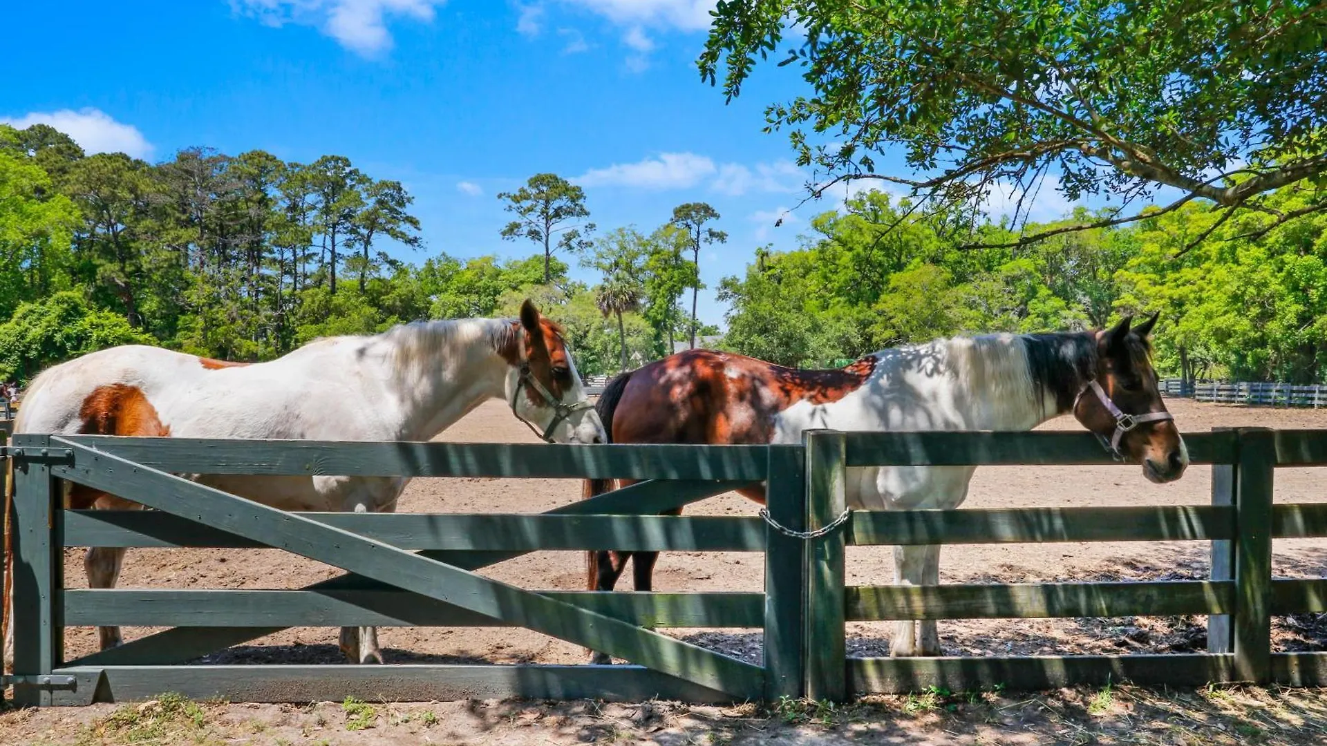 Vila 30 Ruddy Turnstone | Ruddy Retreat Hilton Head Island