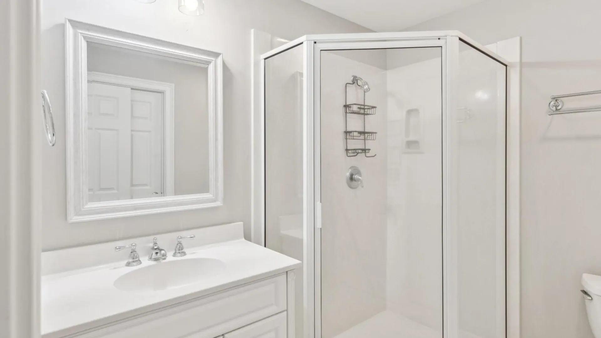 10 Willow Oak *