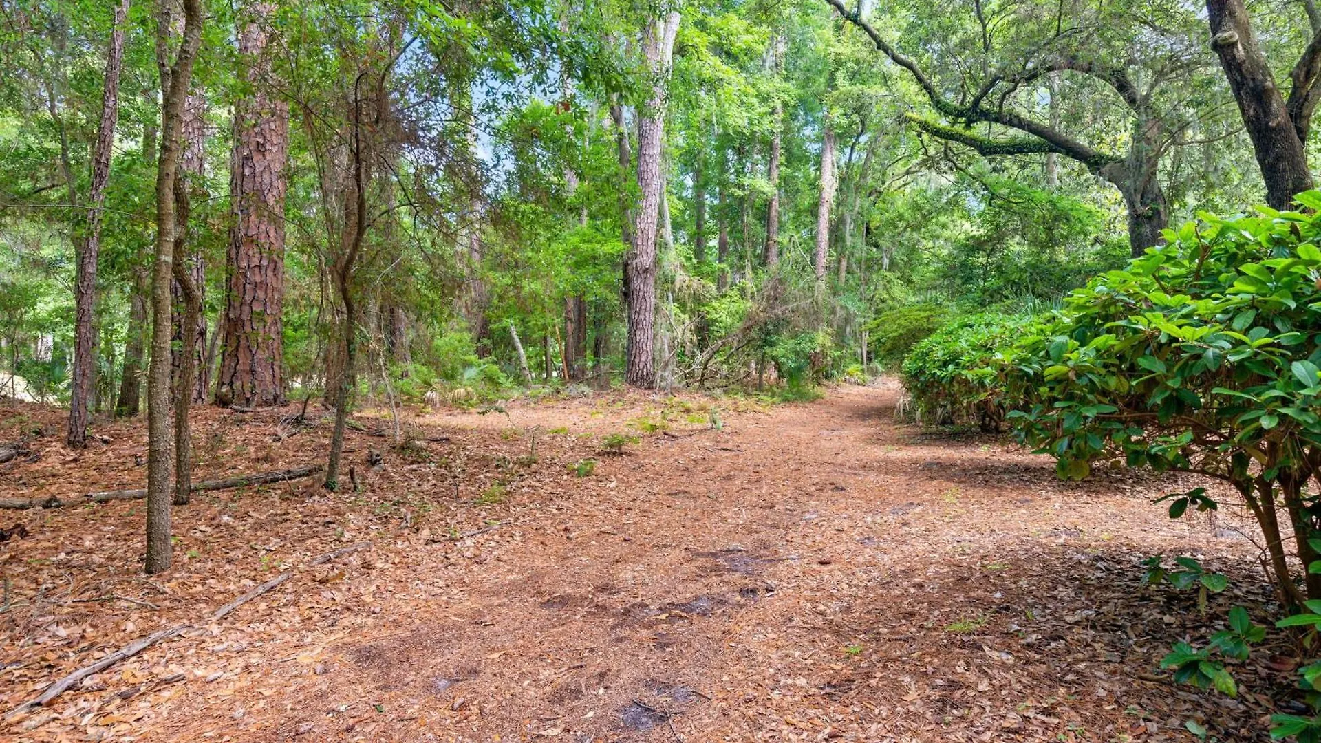 11 Pender Lane * Hilton Head Island