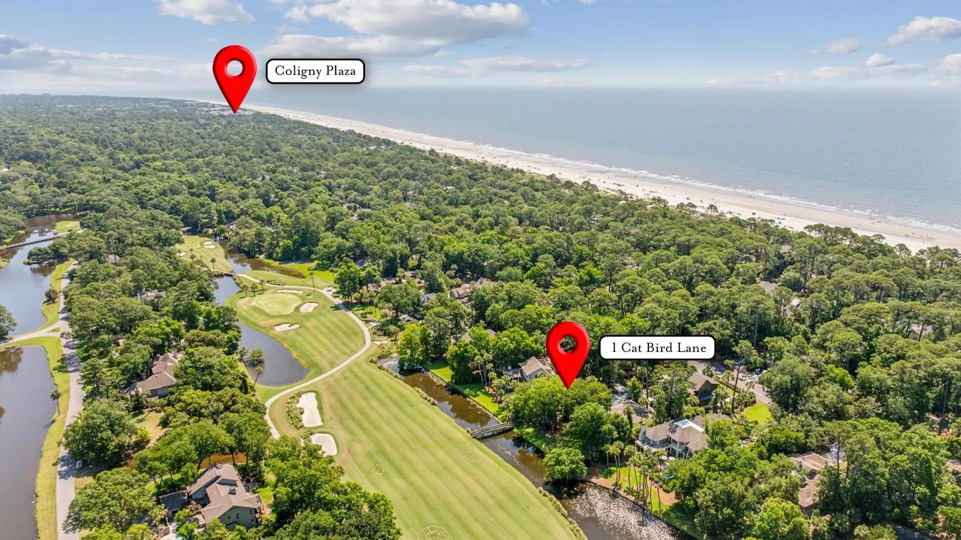 1 Catbird * Hilton Head Island