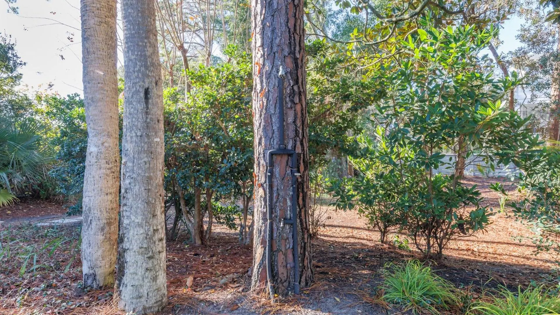 8 Juniper * Hilton Head Island