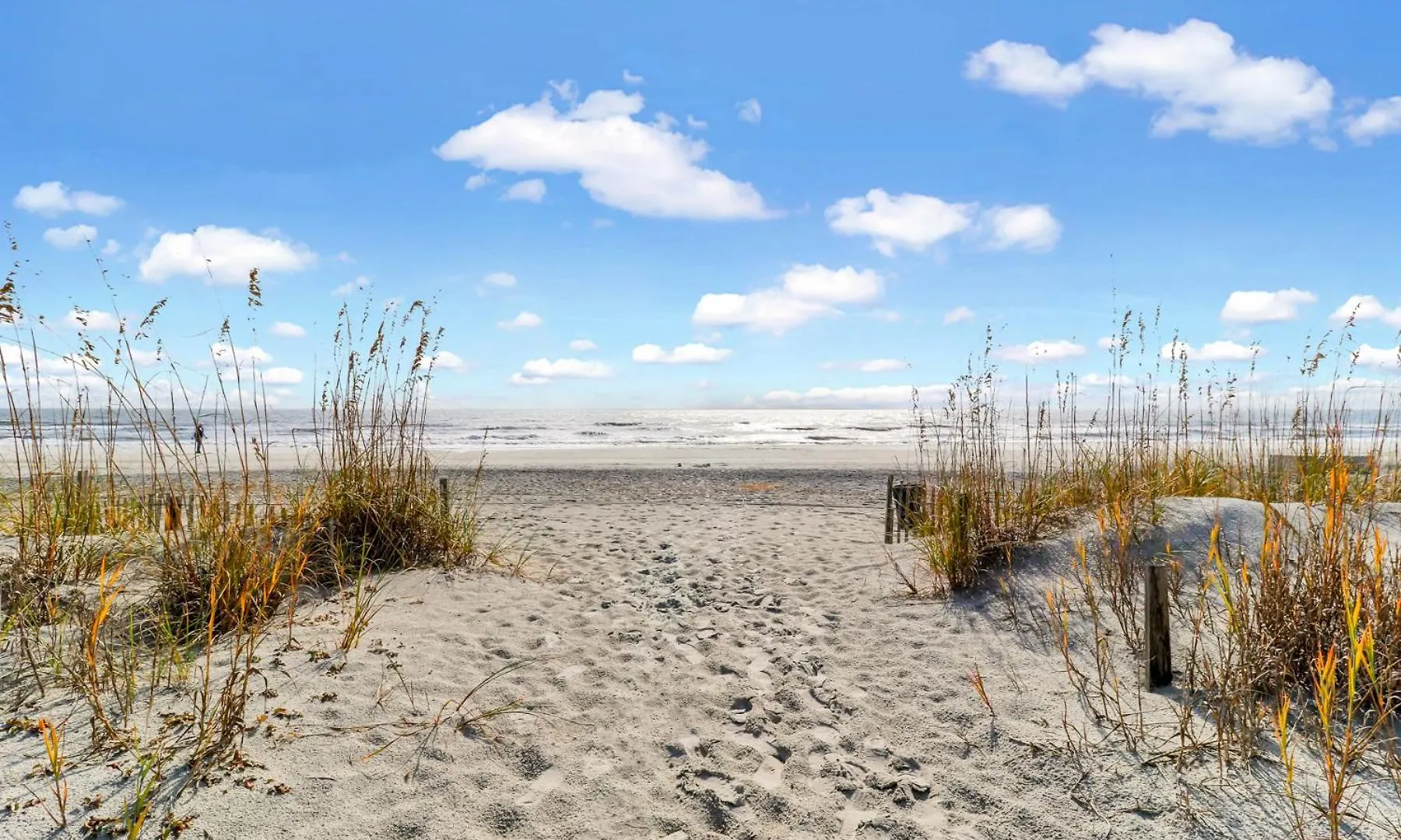 Ocean View Breakers At Coligny Apartment Hilton Head Island