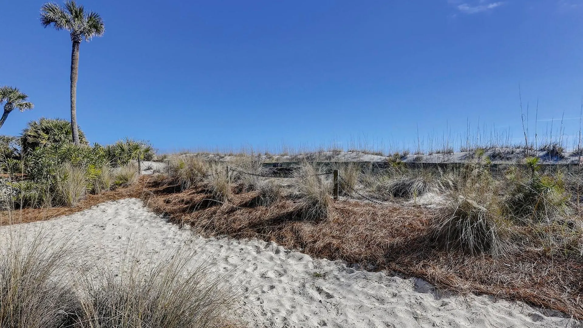 3 Hilton Head Island