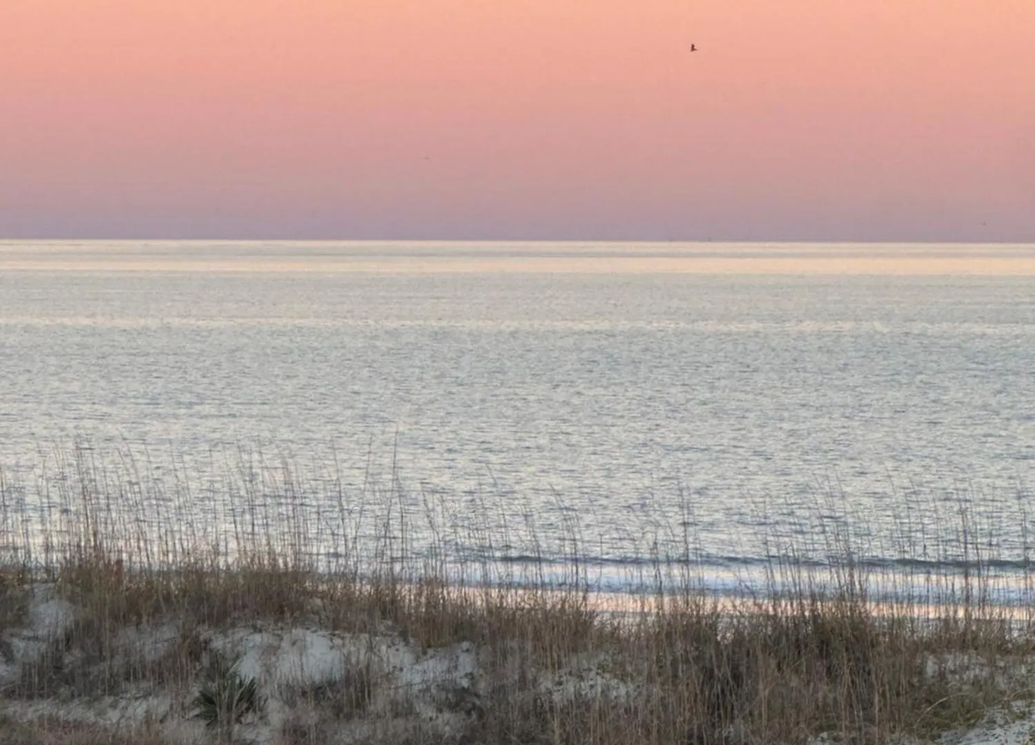 Apartment Ocean View- King Suite - Romantic Couples Oasis - Private Access To Beach!