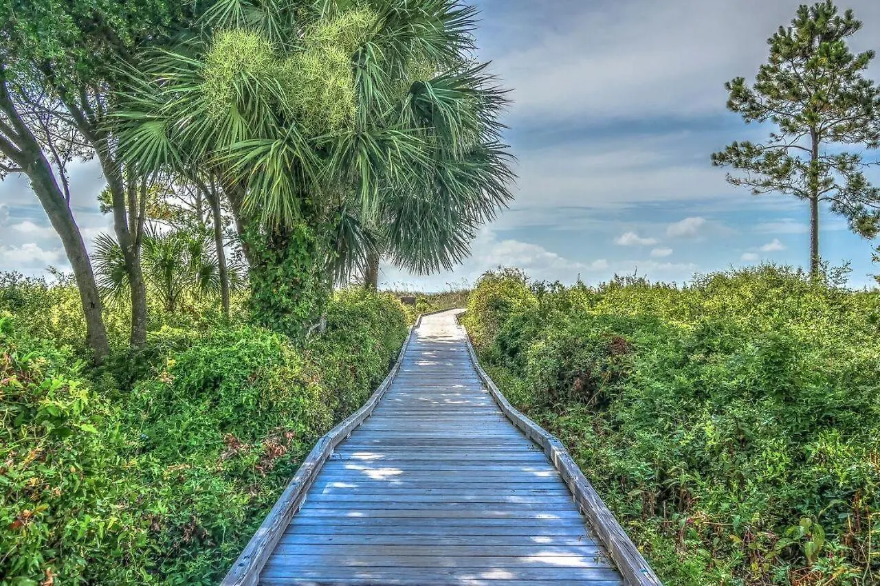 Hilton Head 24 *