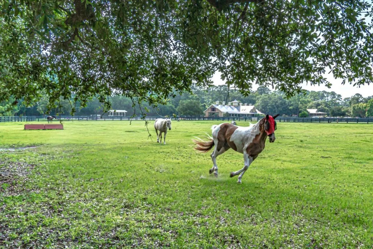 Holiday home Pet Friendly! 503 Plantation Club Walk To Pool Sleeps 6 Sea Pines Hilton Head Island