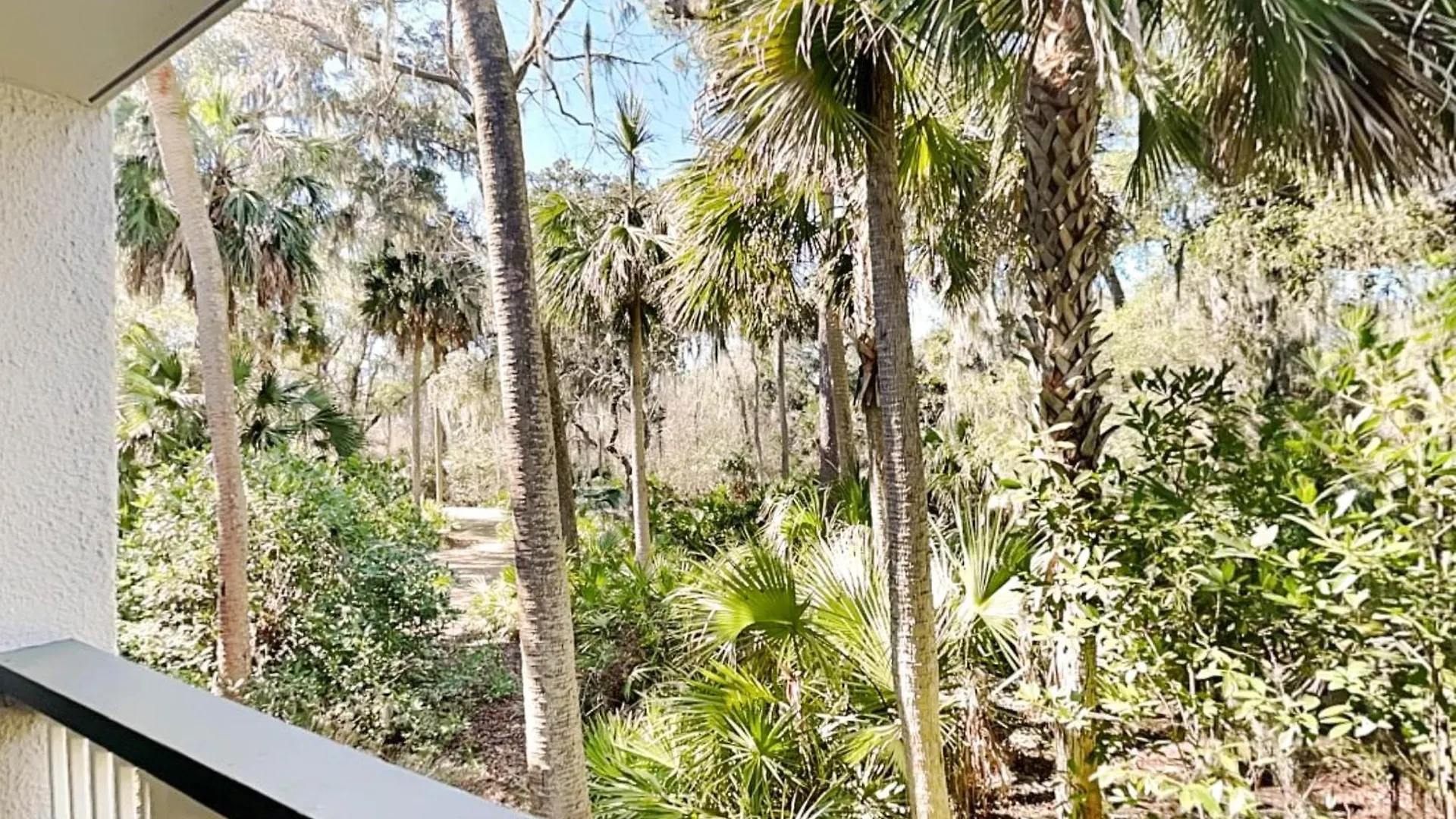 Apartment Treetops 6101 Hilton Head Island
