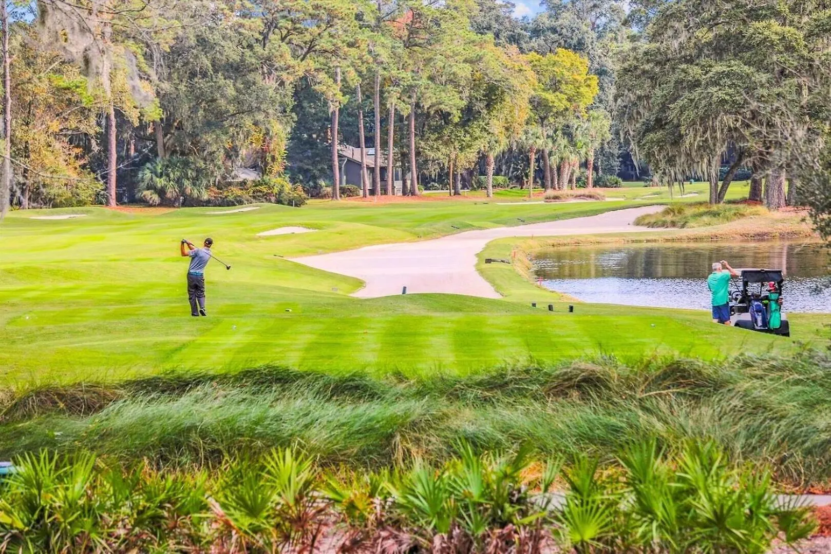 1 Catbird * Hilton Head Island