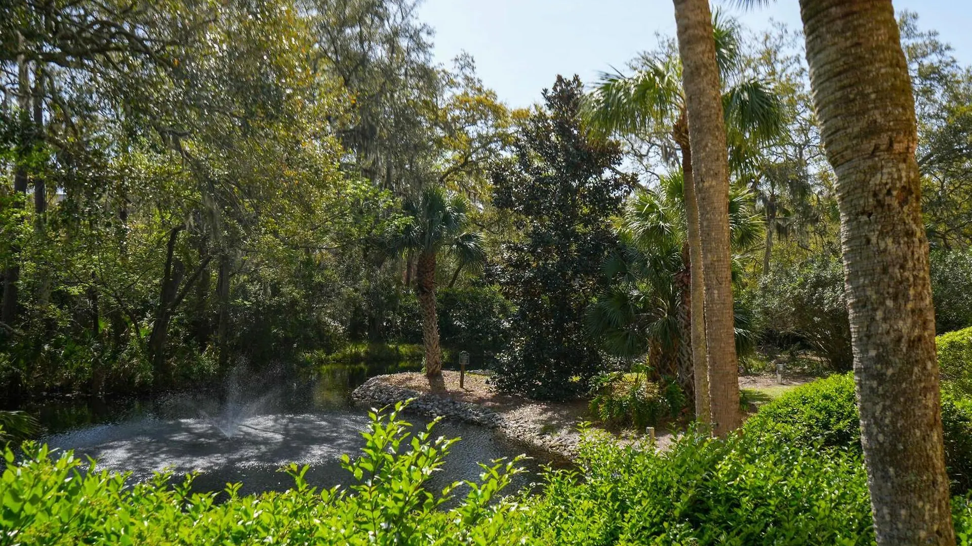 Pool And Access *