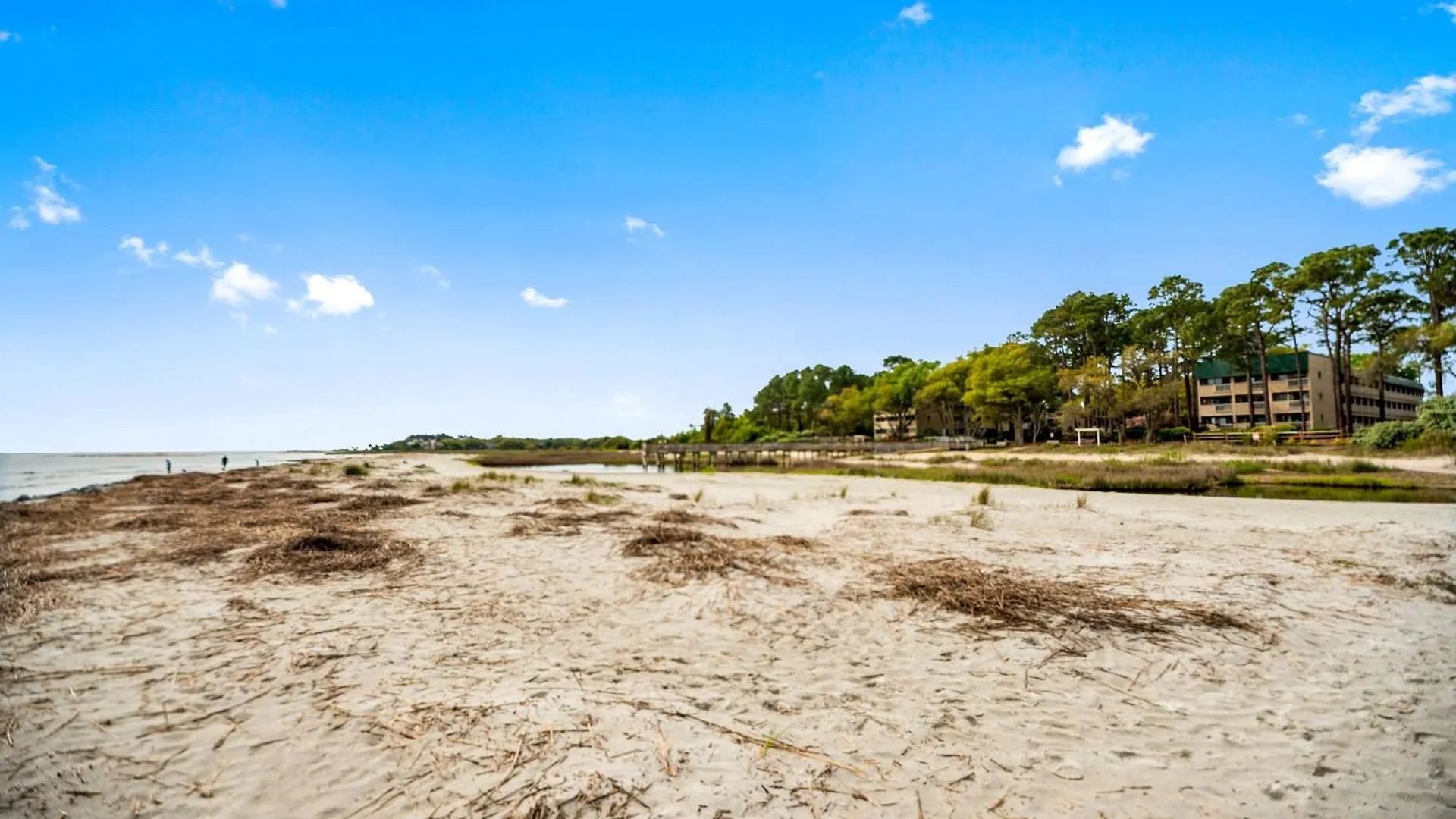 The 1115 * Hilton Head Island
