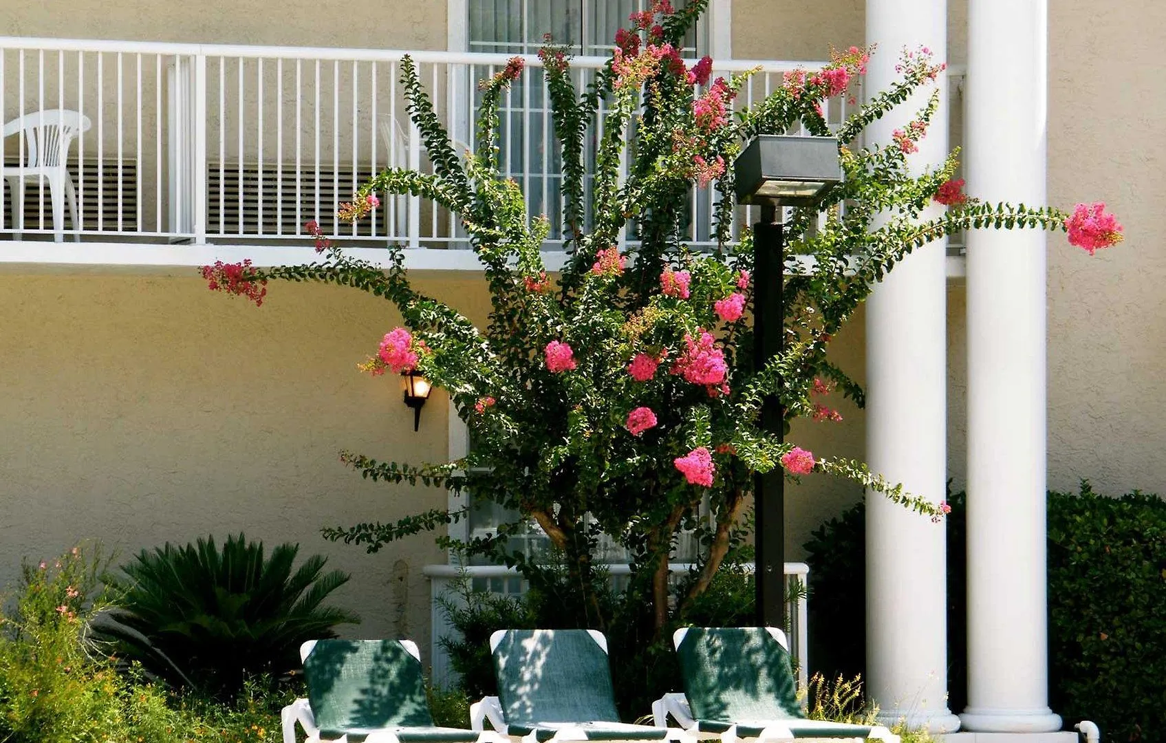 Palmera Inn&suites