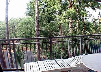 Forest Beach By Seashore Vacations