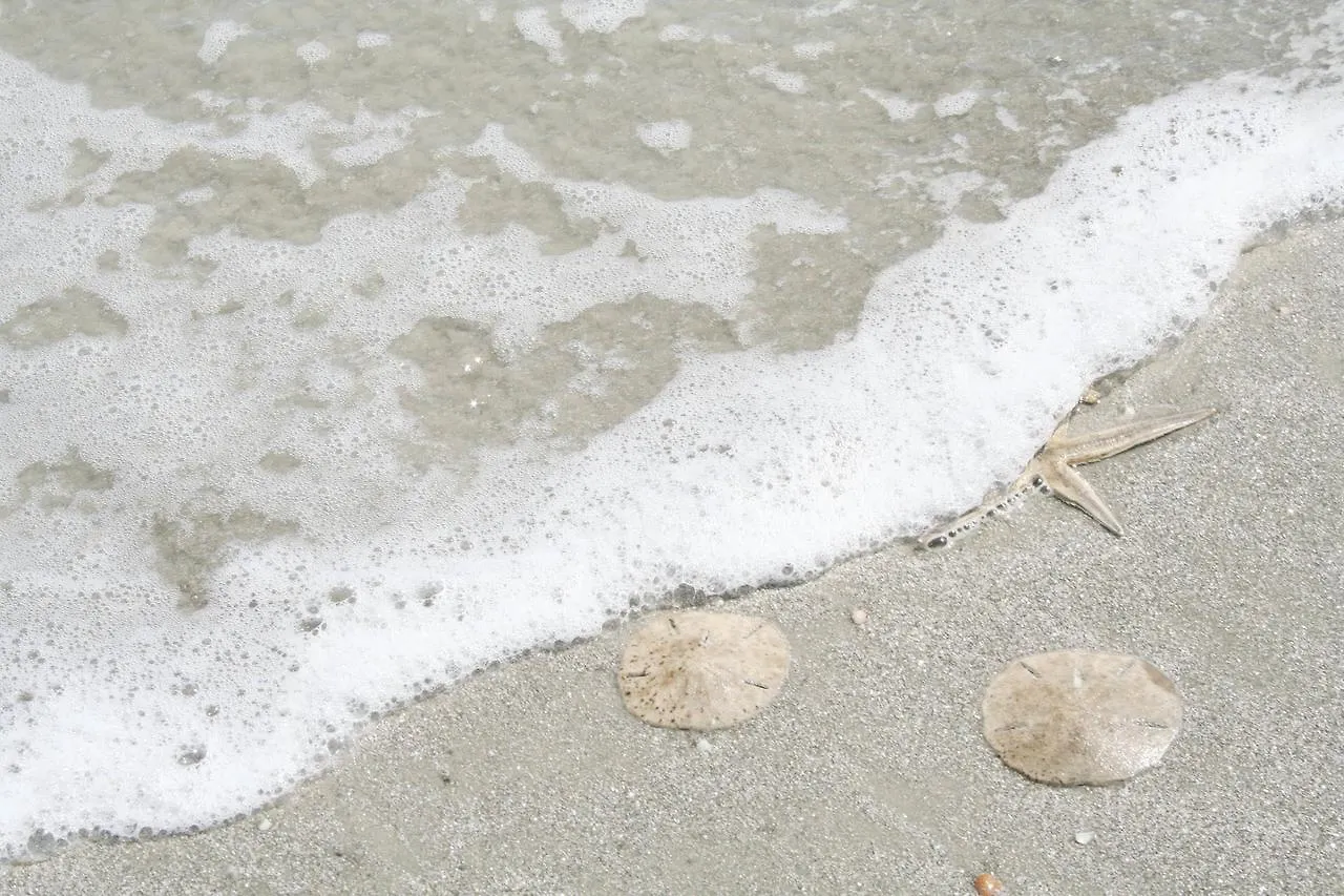 Sea Spray 1 *