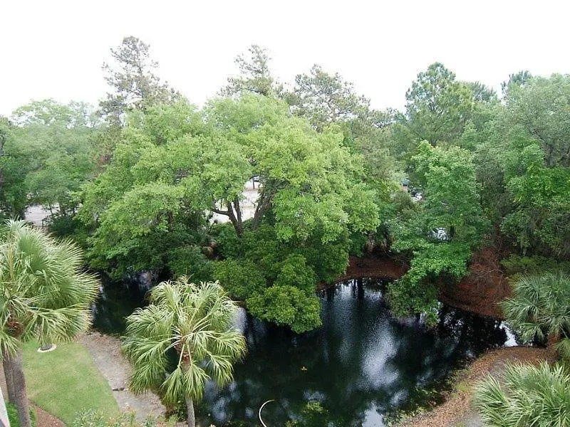 Forest Bch 429 * Hilton Head Island