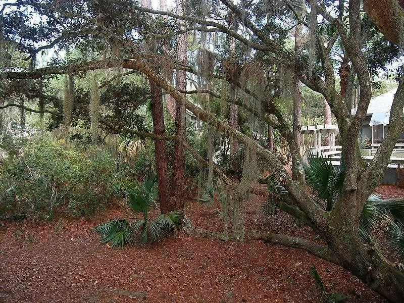 Holiday home South Sea Pines 84 *