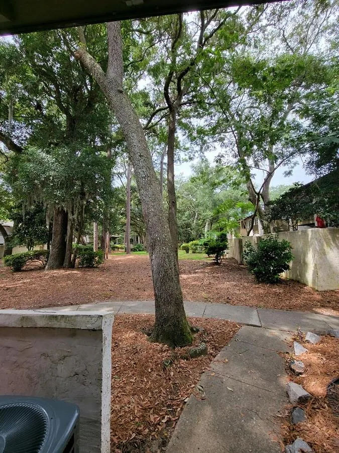 Hhi Homes- Newly Renovated Cozy Modern Pet-friendly Villa-ideal Location 别墅
