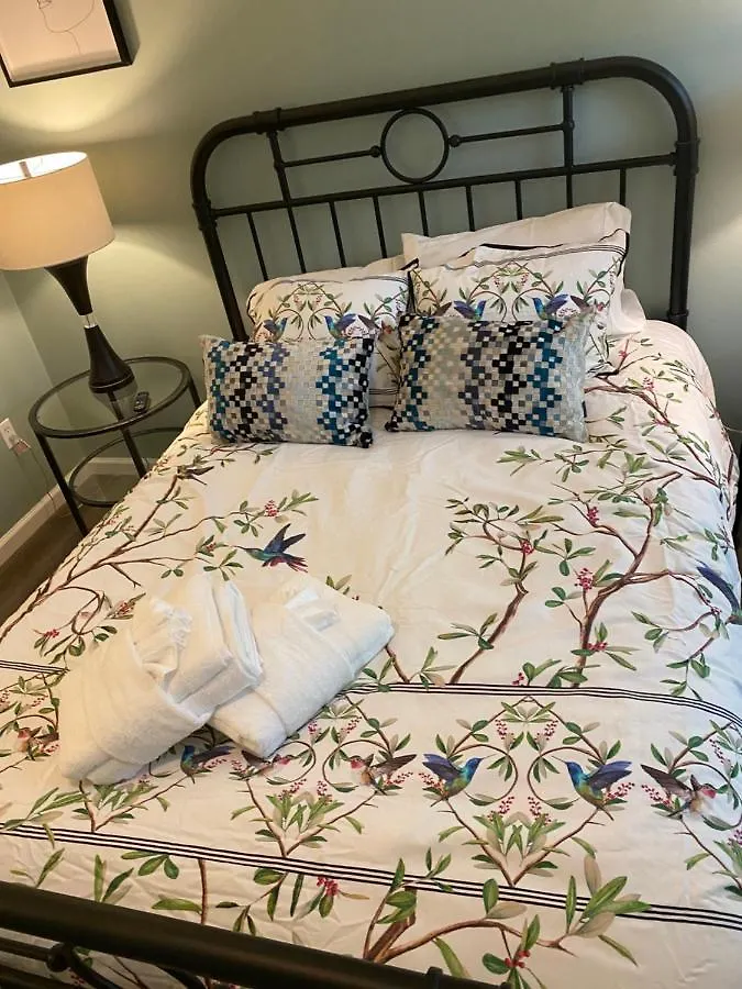 别墅 Hhi Homes- Newly Renovated Cozy Modern Pet-friendly Villa-ideal Location 希爾頓黑德島