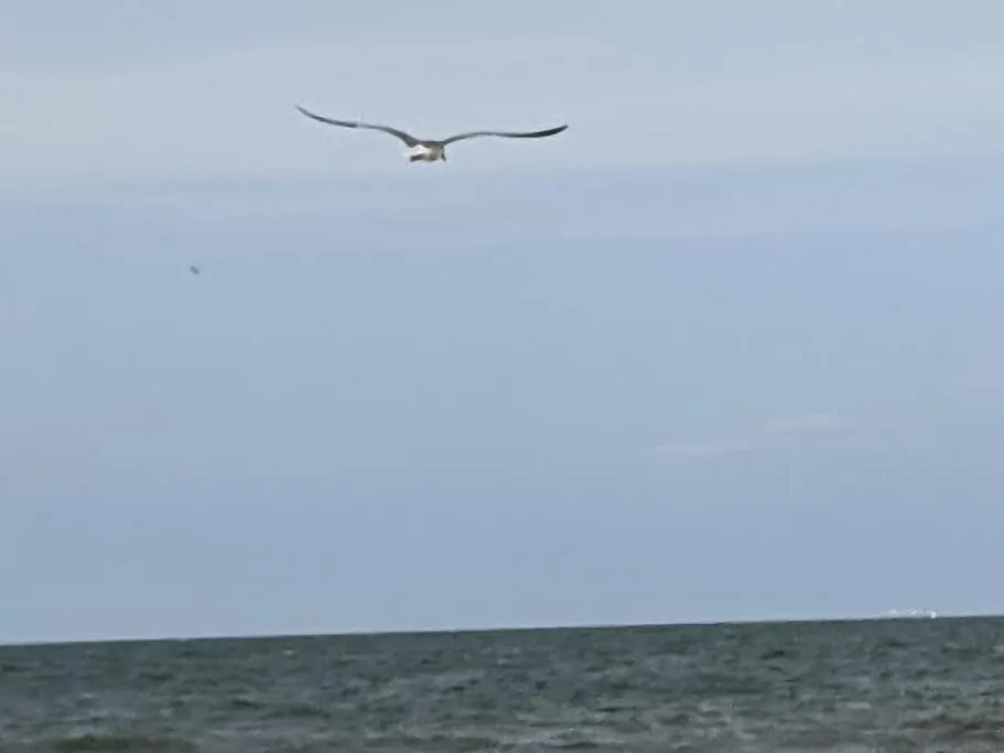 Blissful Hilton Head Island