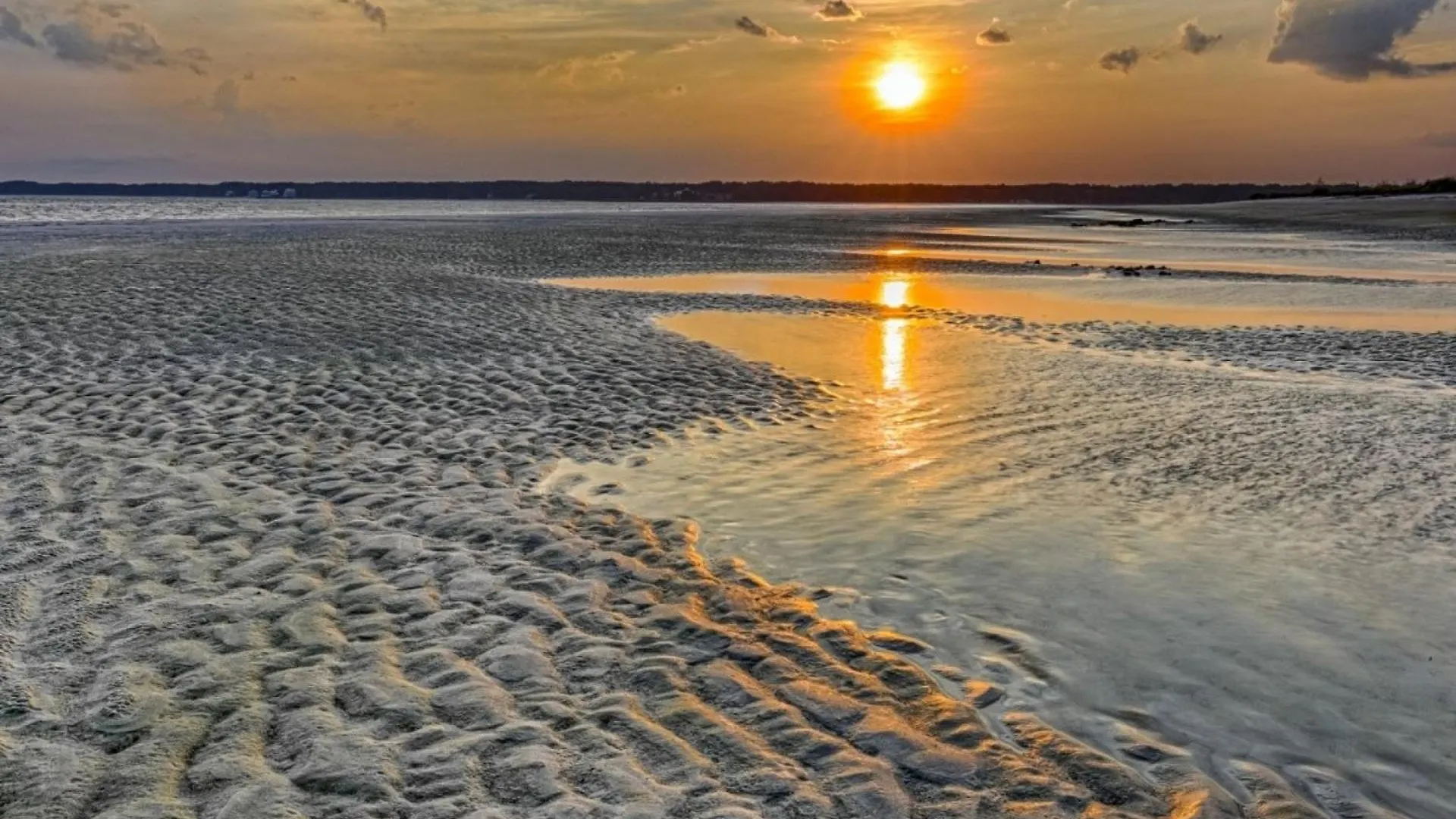 Vakantiehuis The On Park Hilton Head Island