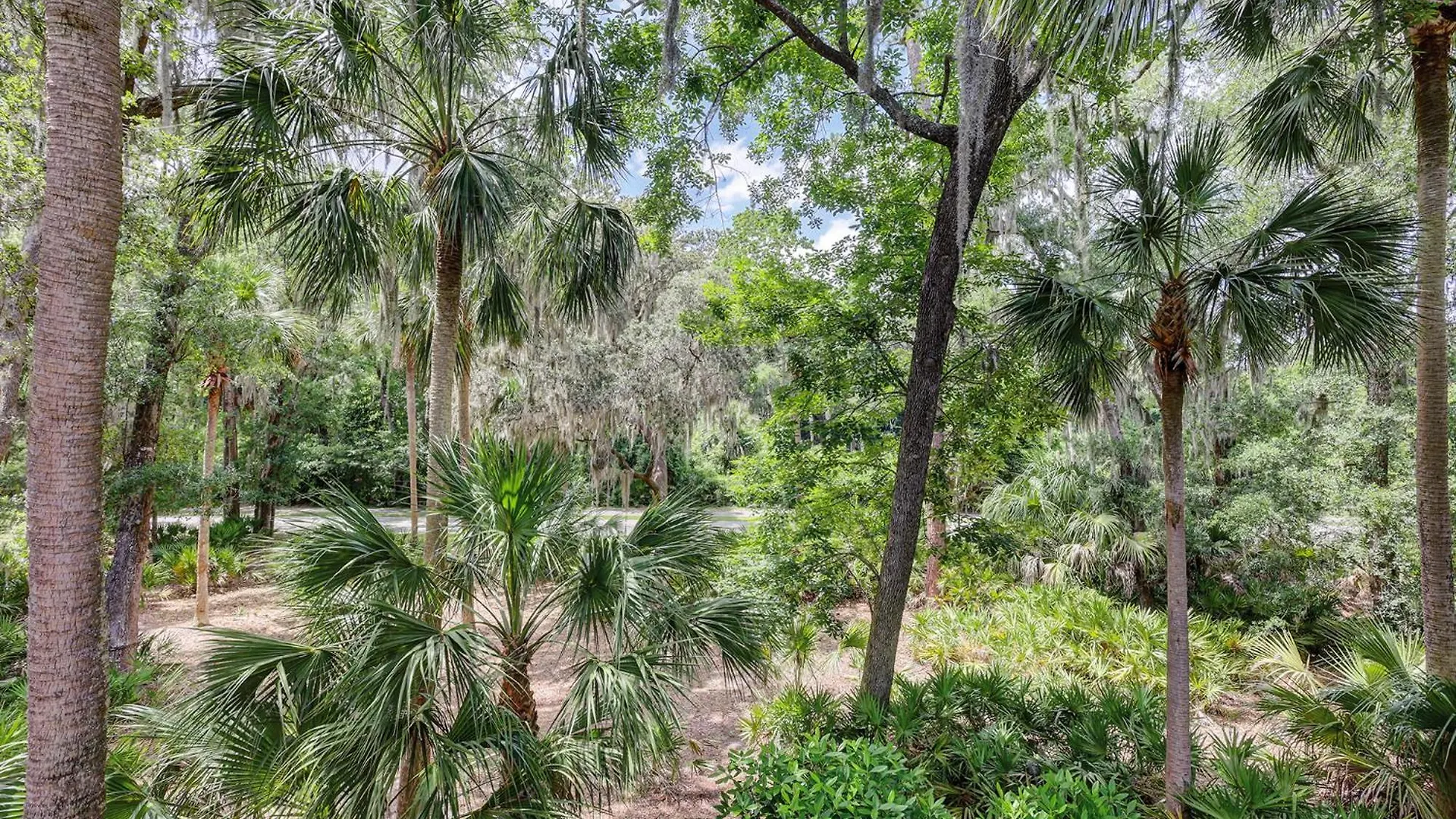 Villa Treetops 6104