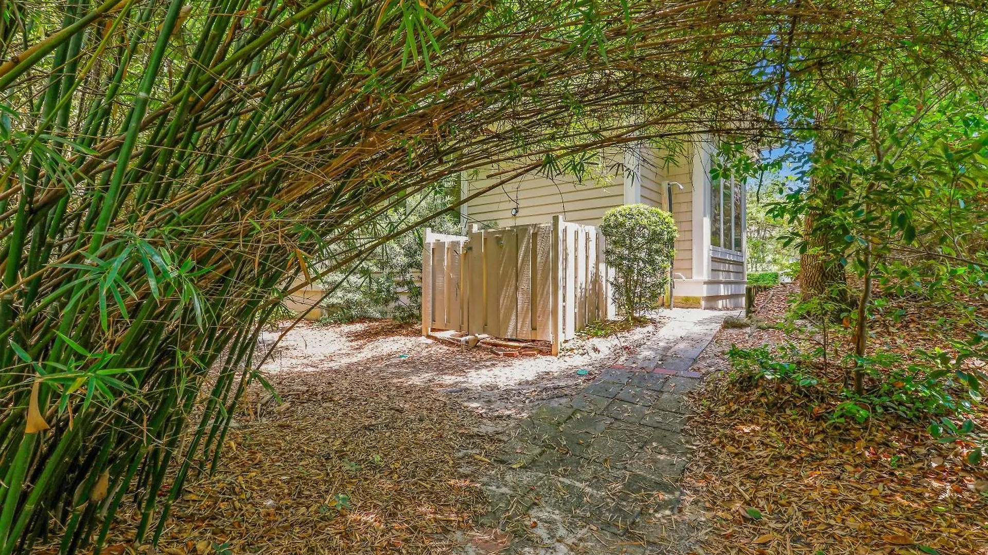 30 Ruddy Turnstone | Ruddy Retreat *