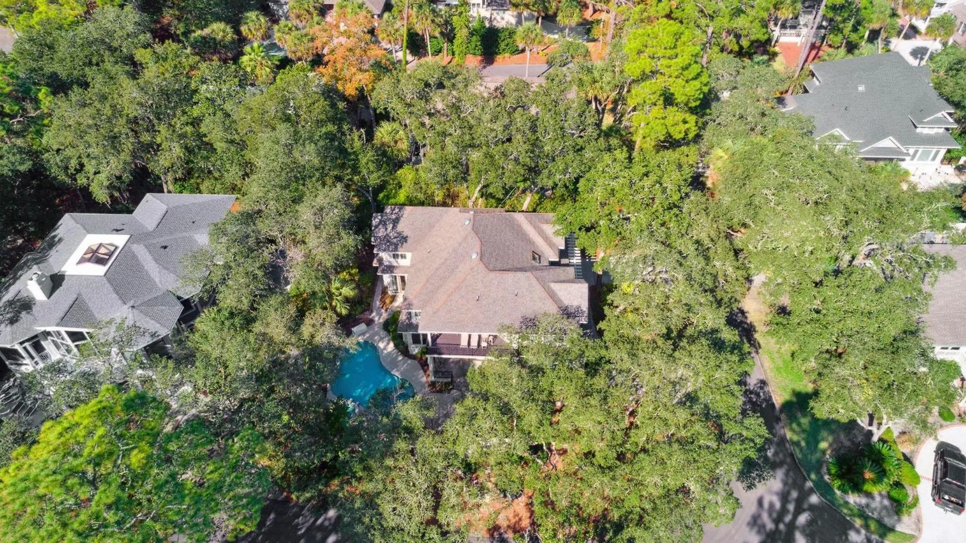 30 Ruddy Turnstone | Ruddy Retreat * Hilton Head Island