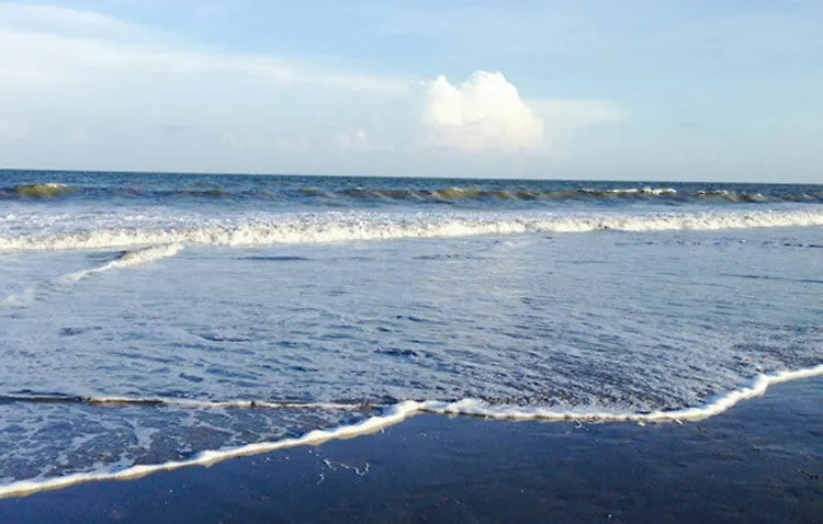 Resort And Tennis Hilton Head Island